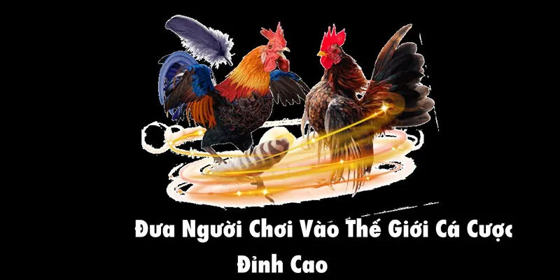 da ga 868vip